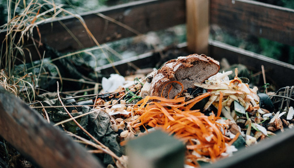 Outdoor compost bin including food waste