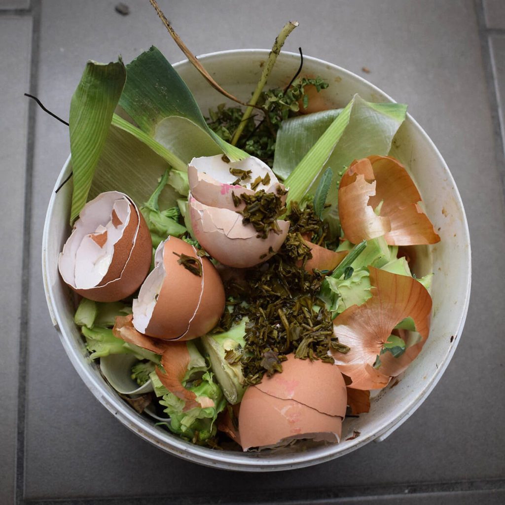 Bucket with food waste in