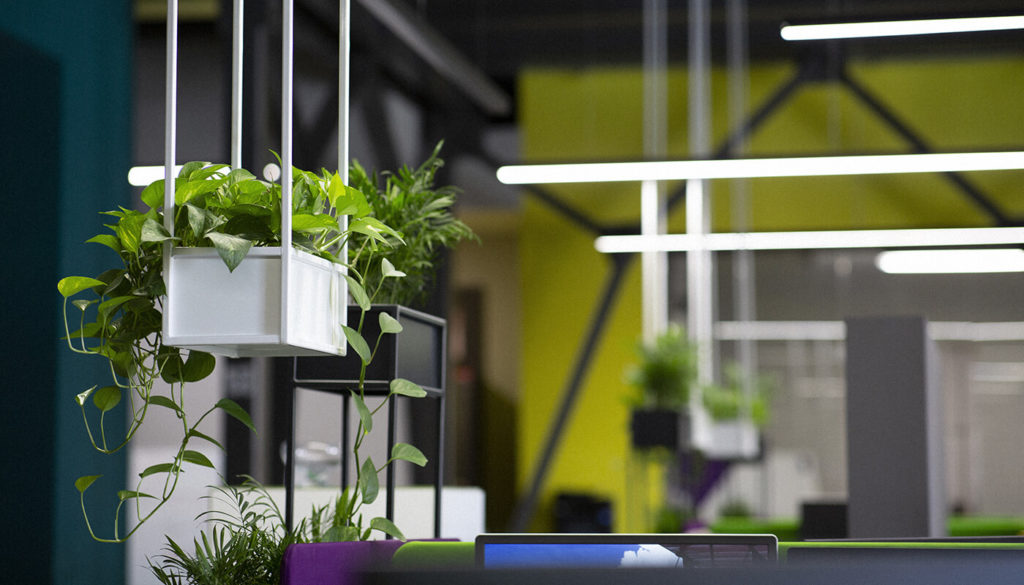 Office scene with plants