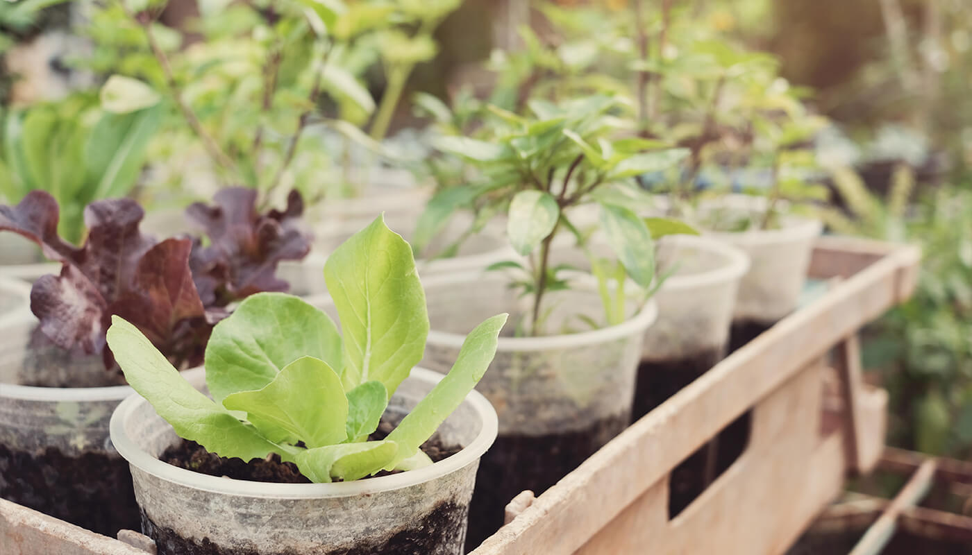 London Recycles Consider composting